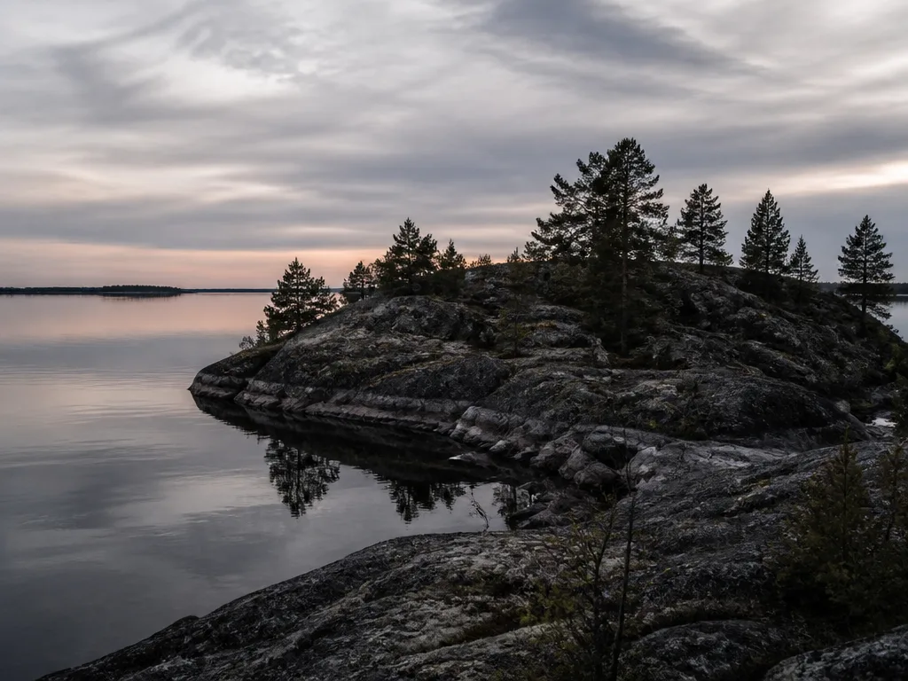 Stilla skogsstrand vid ett nordiskt vatten i skymning